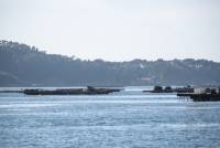 &copy; Jorge Rosenvinge